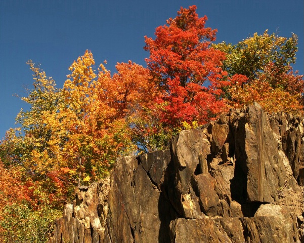 Autumn on the Rocks