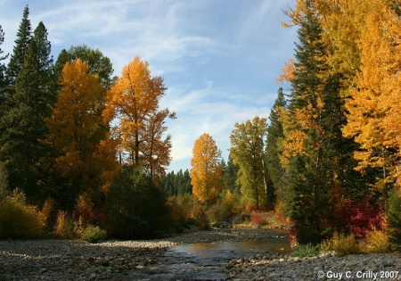 Nason Creek in the Fall