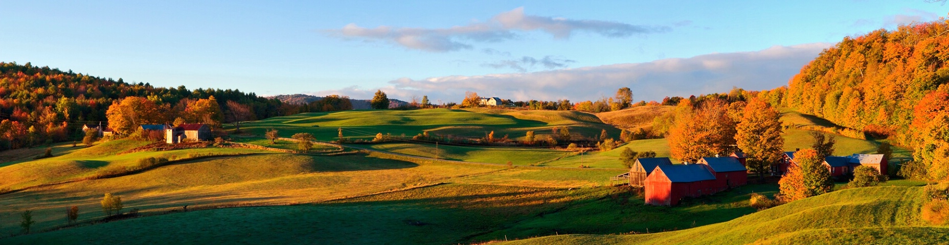 Jenne Farm