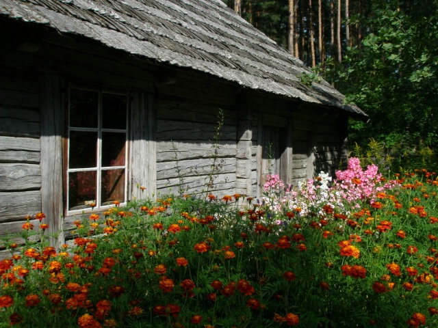Flower garden
