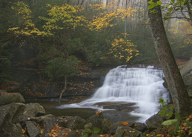 Falls on Looking Glass Creek, Pisgah Forest, NC - ID: 5097650 © george w. sharpton