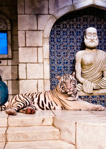 Budda and Tiger