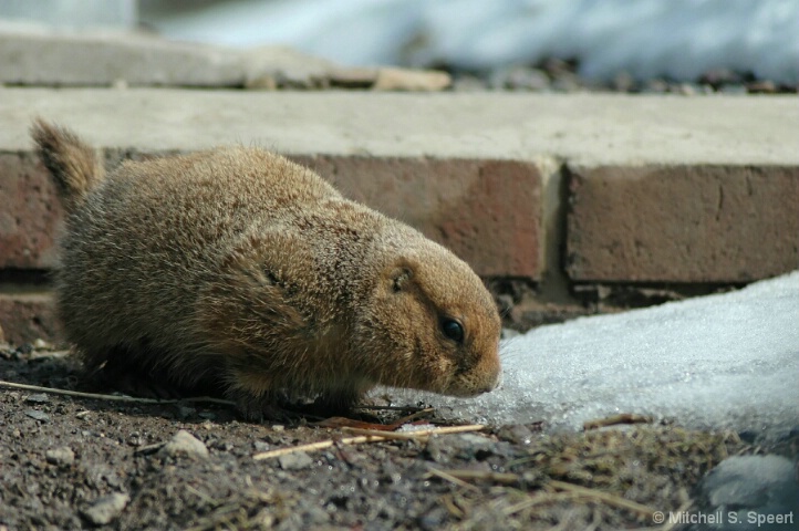 Where'd this white stuff come from?