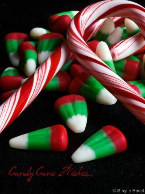 Candy Cane Wishes... - ID: 5106990 © Sibylle Basel