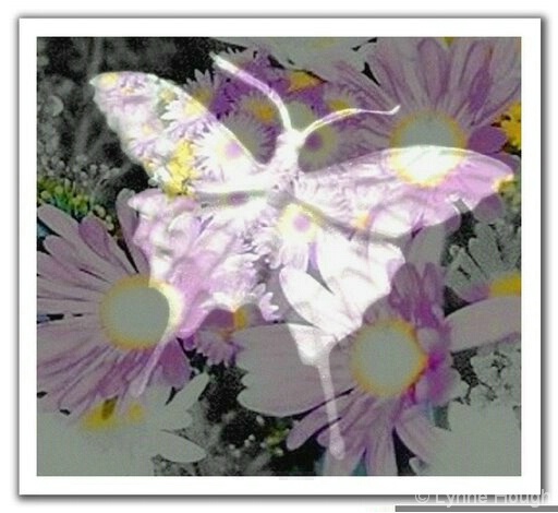 Butterfly art - ID: 5108209 © Lynne Hough