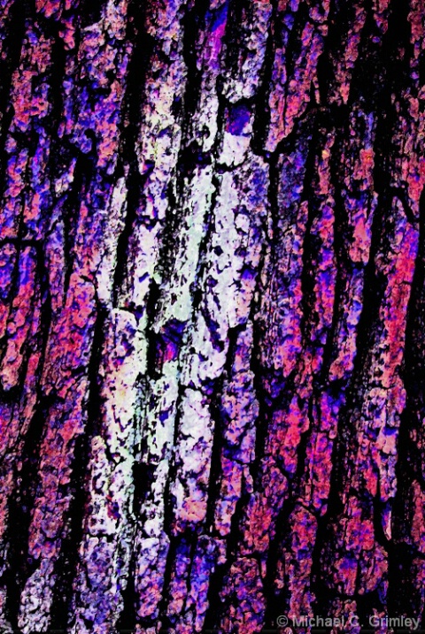 tree_bark_5_fresco_glow_edited