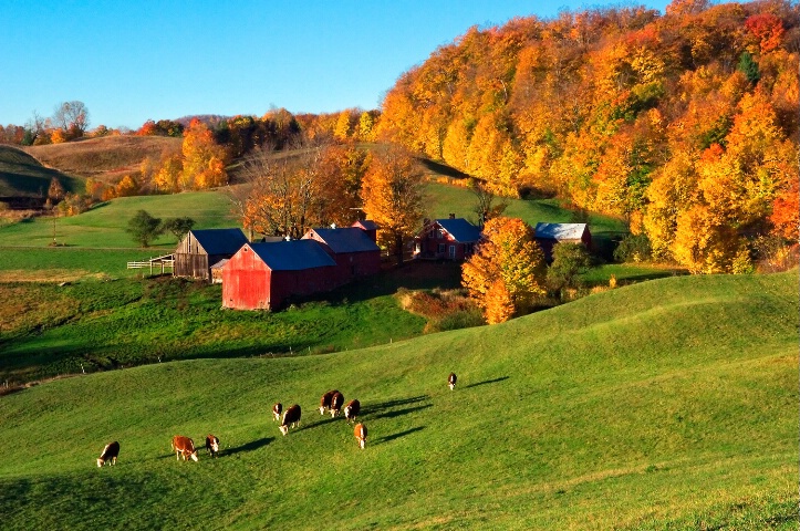 Autumn Colors