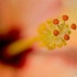 2Reaching out - ID: 5127693 © Stefania Barbier