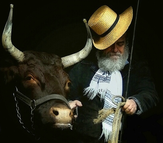 Farmer and Ox