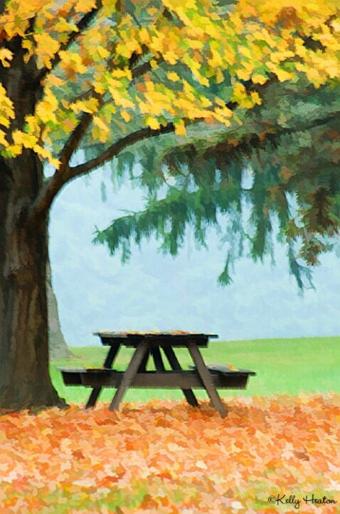 Picnic Table in Fall