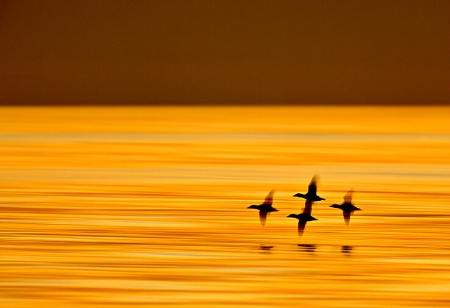 Flying in Formation