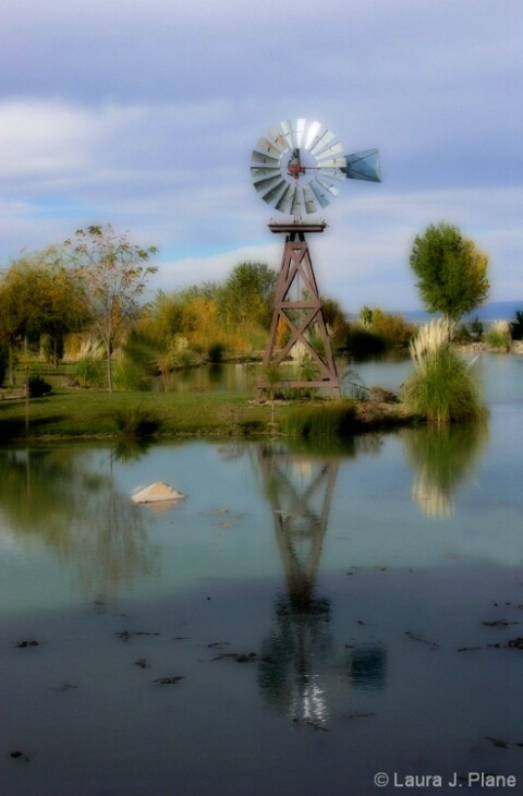 Windmill reflected