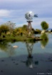 Windmill reflecte...