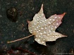 Droplets