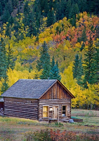Cabin near Aspen