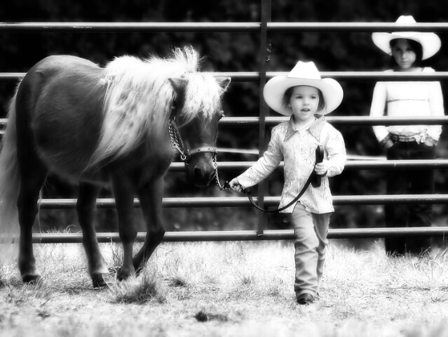 Small-Fry Ranch Hands