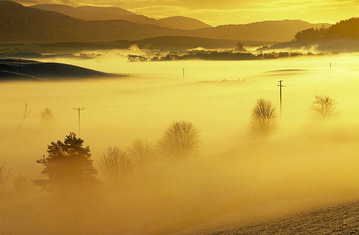 Spey Mist