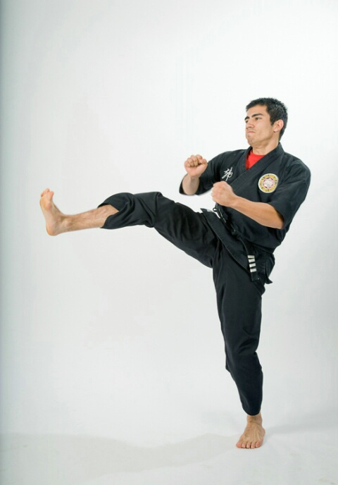 Karate Move