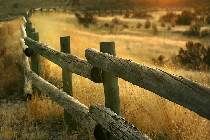 Fence in Time