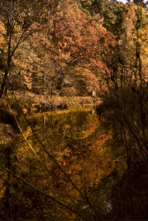 Autumn River Bend