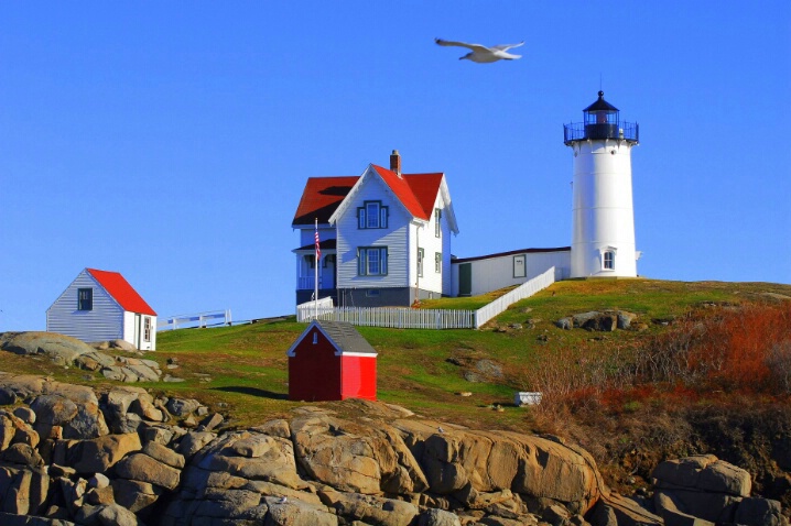 nubble in november