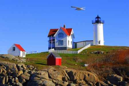 nubble in november