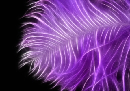 Lilac Ostrich Feather