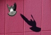 Guess What This I...