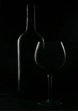 Wine Bottle & Glass Set