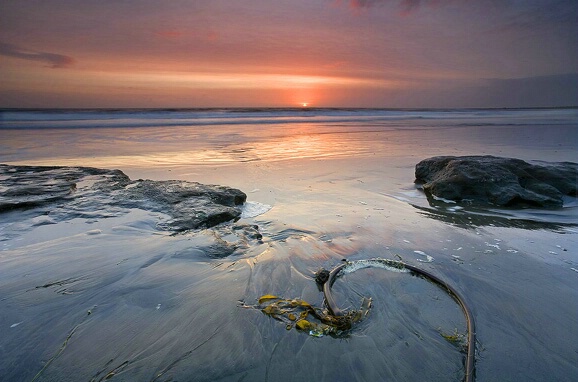 Ocean Sunset - ID: 5186145 © william (. Dodge
