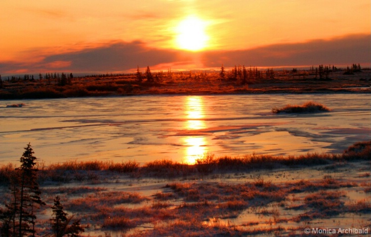 Sunrise on the Tundra
