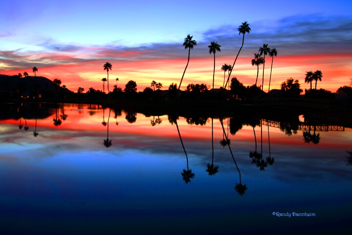 Desert Oasis II  with Peter Hammers help - thanks