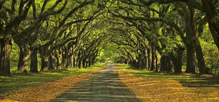 Wormsloe