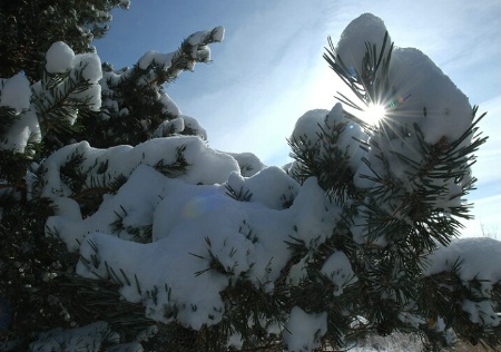 First Snow