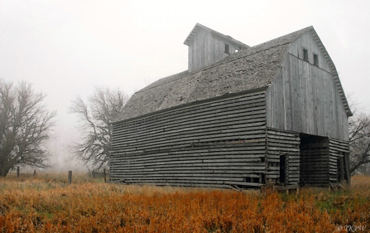 Autumn Fog