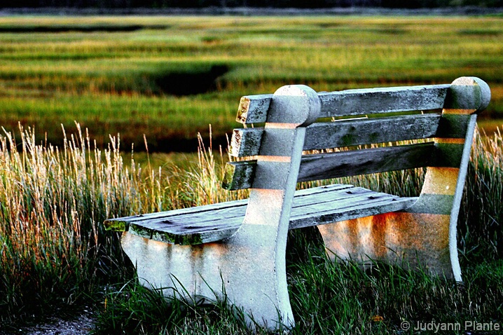 Bench