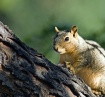 This is my tree m...