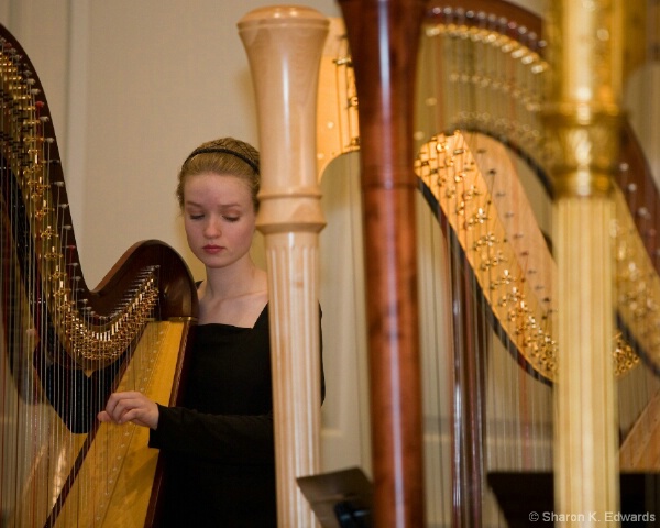 Playing The Harp
