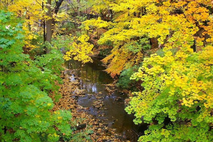 Fall in Olmstead Falls