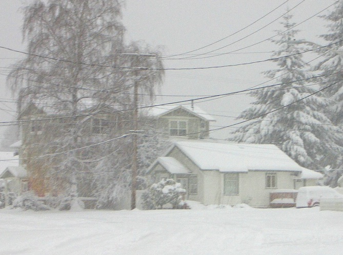 Snow Cottage