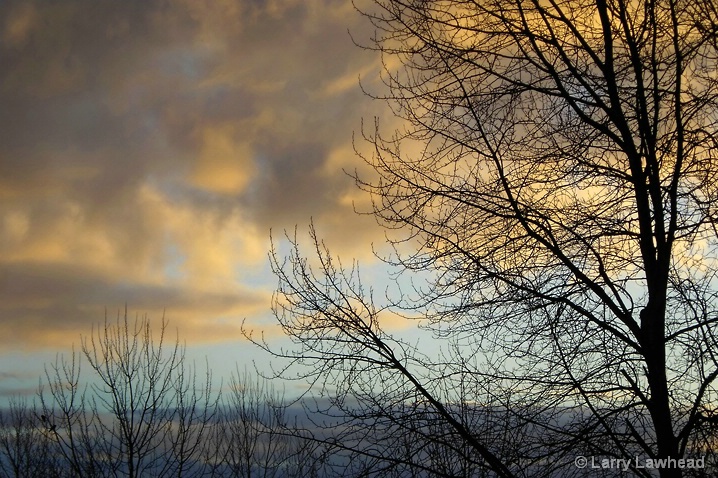 Sunrise on Clouds, Bare Tree