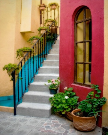 Plants and Stairway