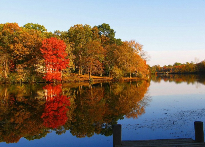 A Fall  View  from the Dock