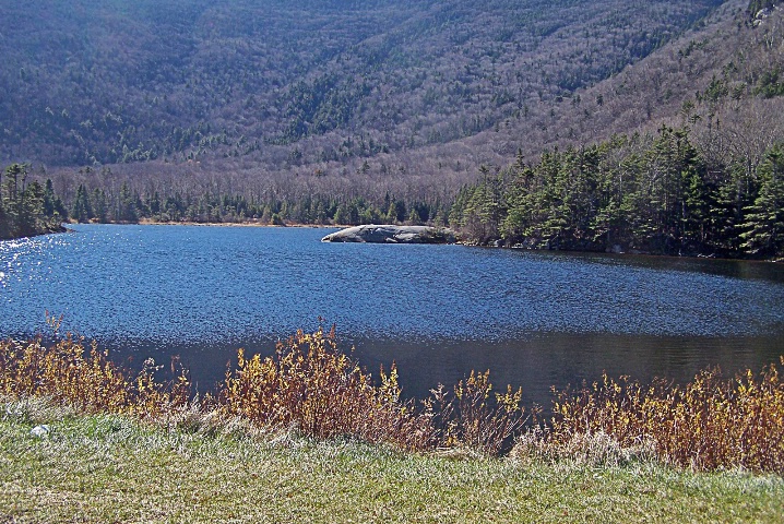 Beaver Pond