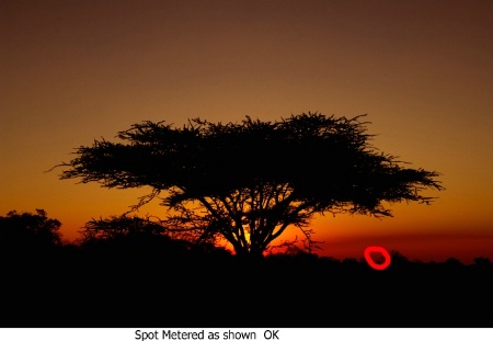 Typical African sunset.