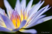 Inner glow...