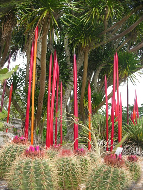 Chihuly at Fairchild:  Cacti - ID: 5294713 © Jannalee Muise
