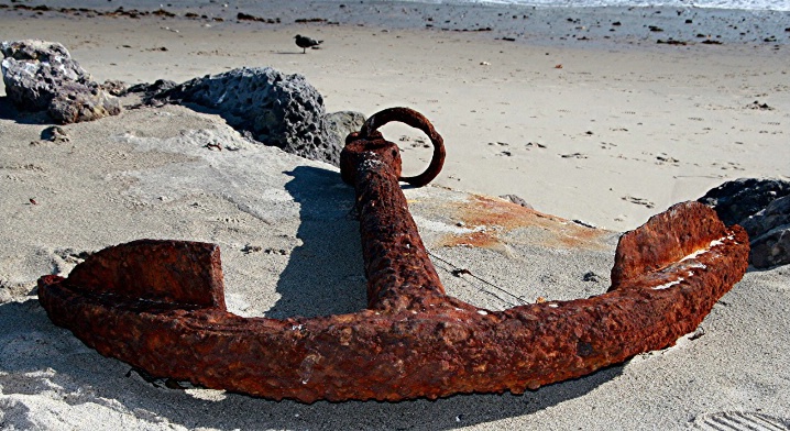 Rusty and Washed Ashore!