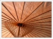 Golden Sunshade