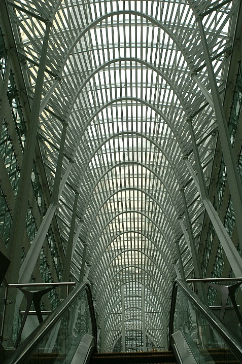 Vertical Lines
